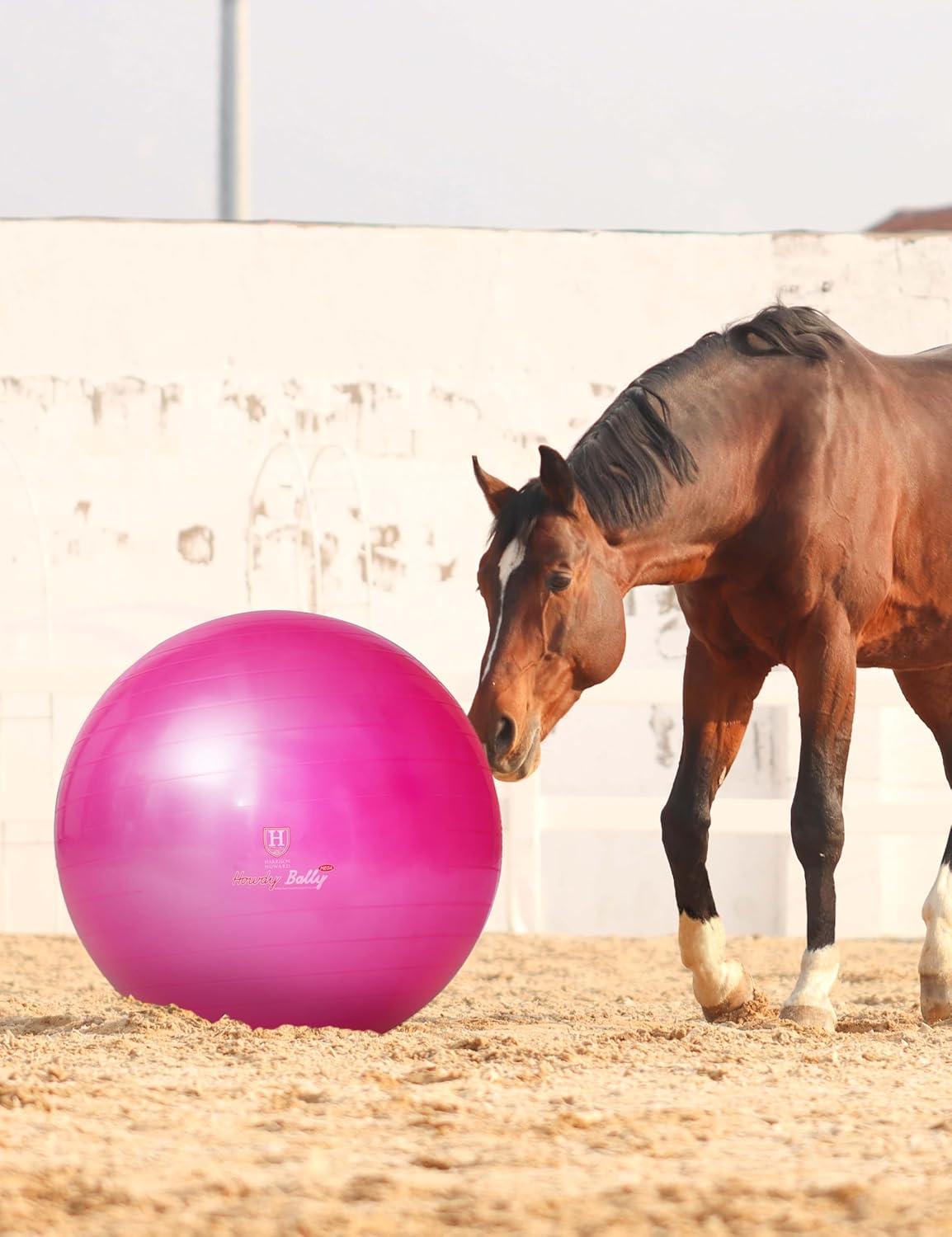 image:imageHarrison Howard Howdy Bally Mega Horse Play Ball AntiBurst Giant Horse Ball 22 InchMagenta