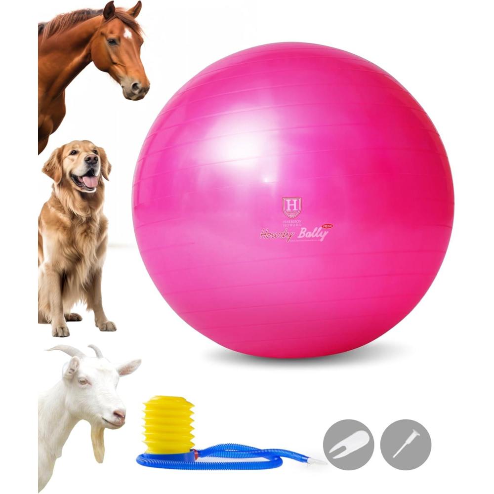 image:imageHarrison Howard Howdy Bally Mega Horse Play Ball AntiBurst Giant Horse Ball 22 InchMagenta