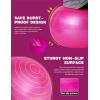 Harrison Howard Howdy Bally Mega Horse Play Ball Anti-Burst Giant Horse Ball 22 Inch-Magenta