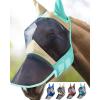 Harrison Howard Pro Luminous Horse Fly Mask Long Nose with Ears UV Protection for Horse Azure Blue/Silver Small Pony(Champagne Gold/Mint)