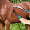 Harrison Howard ShineWell Stainless Steel Sheding Blade with Soft Touch Grip for Horses Dogs