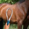 Harrison Howard ShineWell Stainless Steel Sheding Blade with Soft Touch Grip for Horses Dogs
