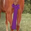 Harrison Howard Stretchy Tail Bag Breathable Horse Tail Guard Slip on Design Protect Horse Tail 2 Strand Closure Straps Keep Tail Clean & Protected 22″ L Length Makes Grooming Easy-Burgundy(Purple)