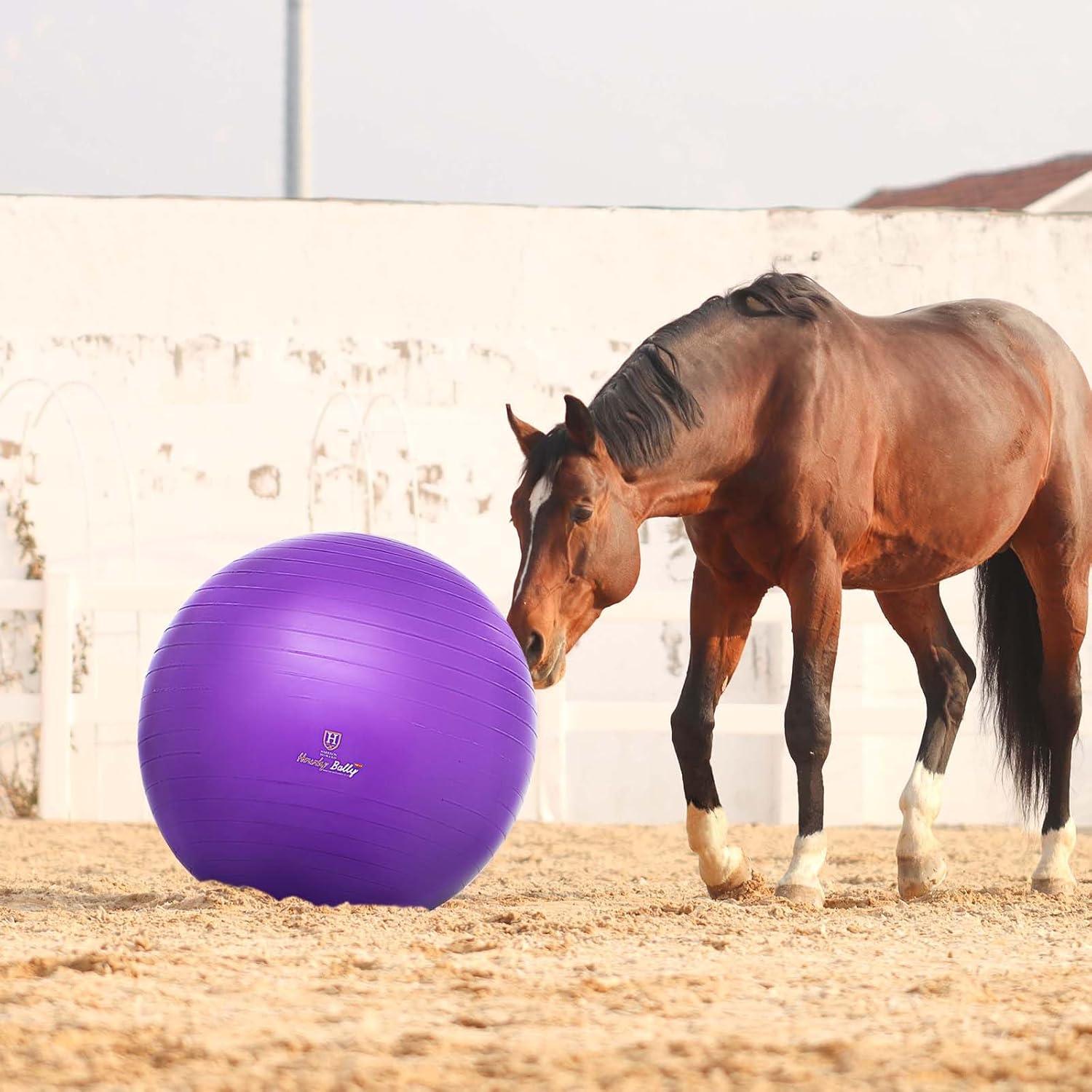 image:imageHarrison Howard Howdy Bally Mega Horse Play Ball AntiBurst Giant Horse Ball Horse Soccer Ball Herding Ball Giant Play Ball for Horses 25 InchRoyal Purple