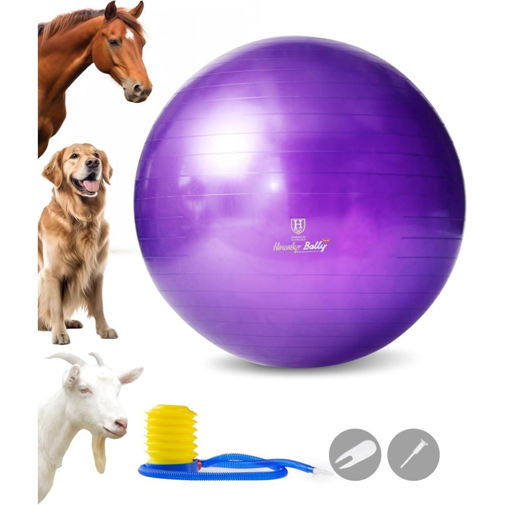 image:imageHarrison Howard Howdy Bally Mega Horse Play Ball AntiBurst Giant Horse Ball Horse Soccer Ball Herding Ball Giant Play Ball for Horses 25 InchRoyal Purple