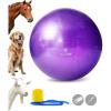 Harrison Howard Howdy Bally Mega Horse Play Ball Anti-Burst Giant Horse Ball Horse Soccer Ball Herding Ball Giant Play Ball for Horses 25 Inch-Royal Purple